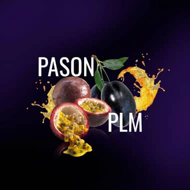 Must H 25g - Pason Plm
