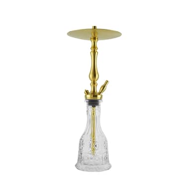 WD Hookah TG1-163A