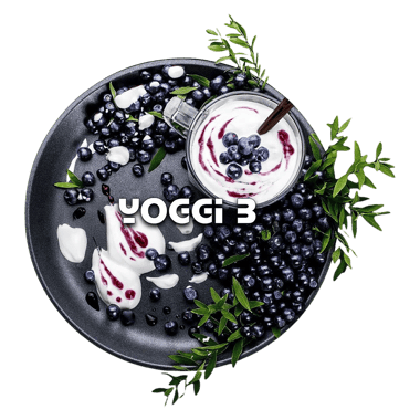 Blackburn 100g - Yoggi B