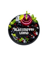 Blackburn 25g Shisha Tabak - BlackmerryLmnd