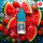 RandM Tornado 20mg/ml Nikotin - Strawberry Watermelon