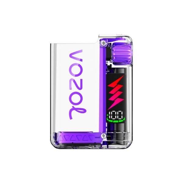Vozol Vista Plug Gerät - Pink Purple